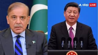 चीन ने पाकिस्तान को दिया बड़ा झटका, TRF के आतंकी संगठन घोषित होने पर बोला- 'पहलगाम हमले की...'
