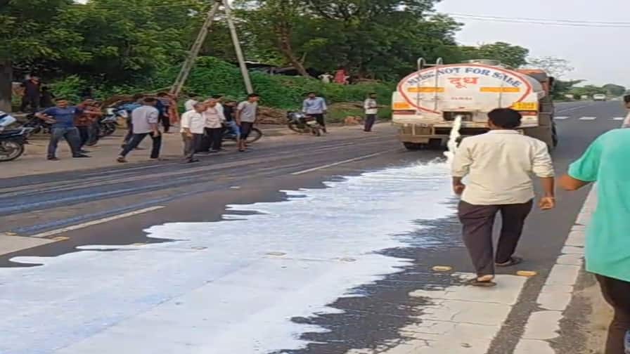 સાબર ડેરી સામે પશુપાલકોનું આંદોલન યથાવત, રોજિંદી આવક કરતા 16 લાખ લીટર દૂધની આવક ઘટી Today is the fifth day of the cattle farmers protest against Sabar Dairy in Sabarkantha સાબર ડેરી સામે પશુપાલકોનું આંદોલન યથાવત, રોજિંદી આવક કરતા 16 લાખ લીટર દૂધની આવક ઘટી