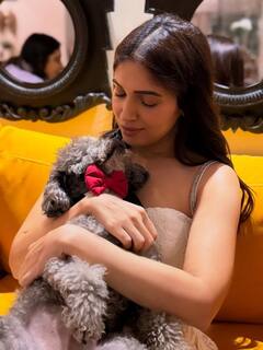 मां के पैर छूकर लिया आशीर्वाद, फिर काटा केक...बर्थडे पर पिंक ड्रेस में बला की खूबसूरत दिखीं भूमि पेडनेकर