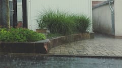 Chennai Set For Week-Long Rain Spell; IMD Issues Alerts For Several Tamil Nadu Districts