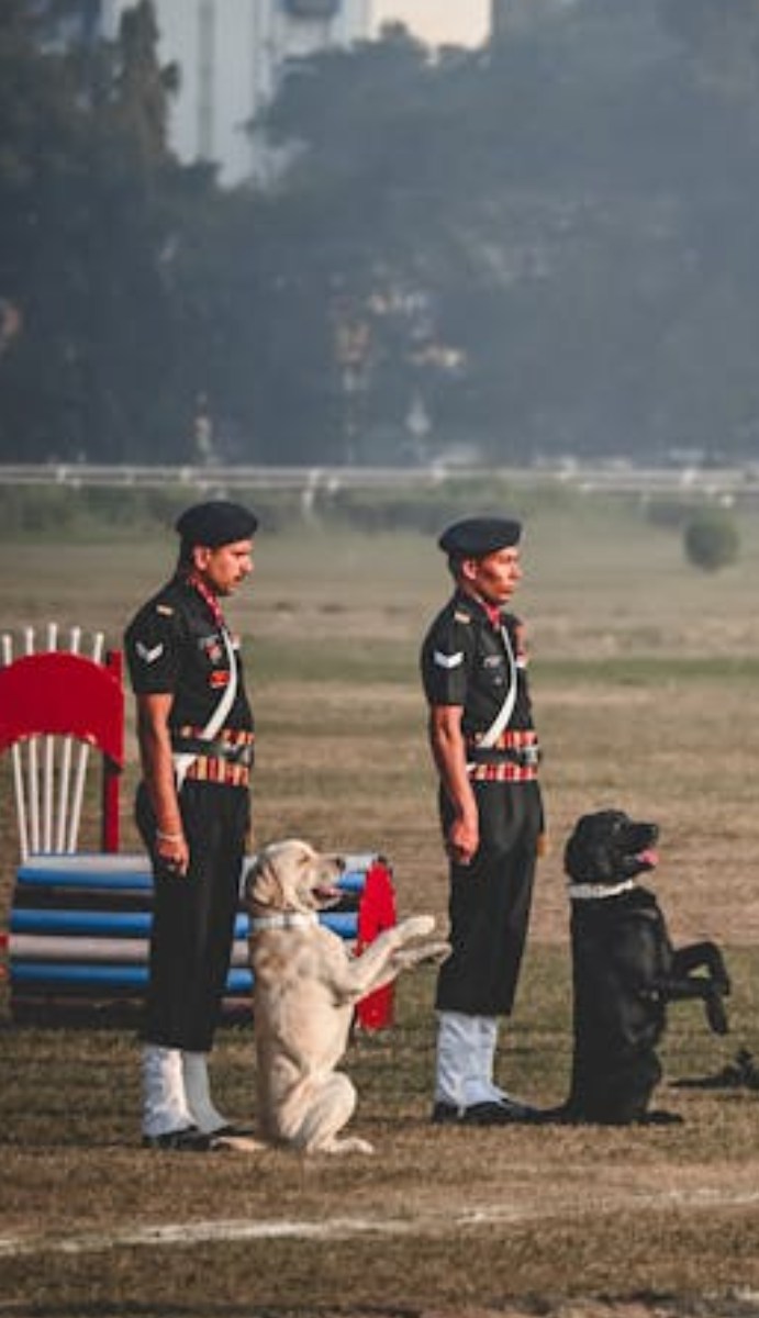 लेकिन क्या आप जानते हैं कि आर्मी में कुत्तों को कौन सी रैंक मिलती है