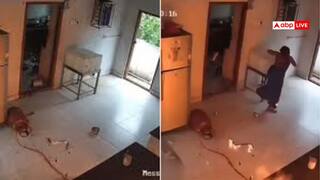 खौफनाक! घर के अंदर फटा सिलेंडर, वीडियो देख निकल जाएगी चीख! आप न करें ऐसी गलती