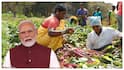 PM Kisan Samman Nidhi: రైతులకు అలర్ట్! పిఎం కిసాన్ సమ్మాన్ నిధి 20వ విడత డబ్బులు ఎప్పుడంటే? లేటెస్ట్ అప్డేట్, చెక్ చేసుకోండి!