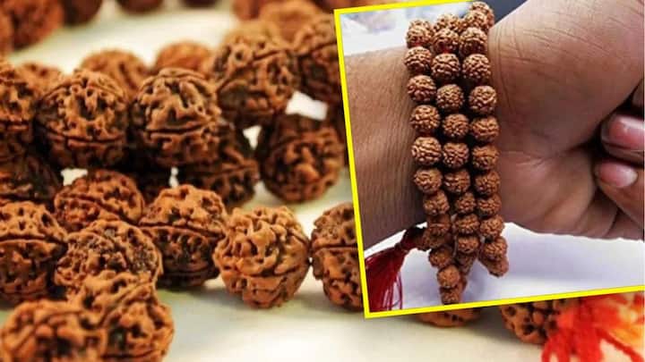पहले लाल कपड़े पर रुद्राक्ष को रखकर पूजा स्थल या शिवलिंग पर रख दें और पंचाक्षरीय ऊं नमः शिवाय मंत्र का जाप करें. फिर इसे गंगाजल से धोएं और पंचामृत में डुबोकर कुछ देर के लिए छोड़ दें. इसके बाद धारण करें.