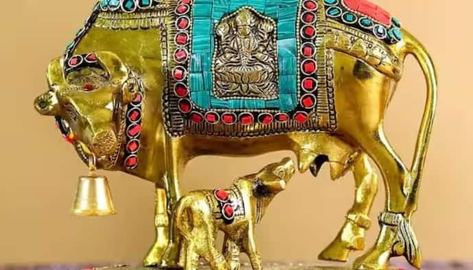 वास्तु के अनुसार, कामधेनु गाय और उसके बछड़े की मूर्ति या तस्वीर घर के ईशान कोण में रखनी चाहिए, क्योंकि यही वह दिशा है जहाँ देवी-देवताओं का वास होता है। इसके अलावा, आप पूजा कक्ष में तांबे, पीतल या चांदी जैसी धातुओं से बनी कामधेनु गाय की मूर्ति भी रख सकते हैं।