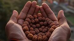 Sawan 2025 — Know Why Wearing Rudraksh This Month Can Transform Your Spiritual Life