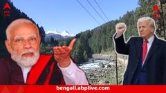 পহেলগাঁওতে রক্ত ঝরানো TRF-এর বিরুদ্ধে বড় পদক্ষেপ আমেরিকার, সঙ্গে সঙ্গে বার্তা ভারতের