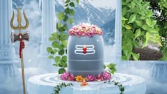 శివుడికి బిల్వదళాలు అంటే ఎందుకంత ప్రీతి - శ్రావణమాసంలో మారేడు దళాలతో పూజ చేయొచ్చా?