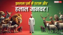 Islam: इस्लाम में Halal और Haram जानवर कौन से हैं? क्या खाना जायज, किसे माना जाता है गुनाह!