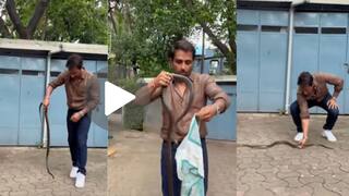 VIDEO : सळसळ करत चाललेला साप सोनू सूदने झटक्यात पकडला, गोणीत भरला अन् दिला खास संदेश