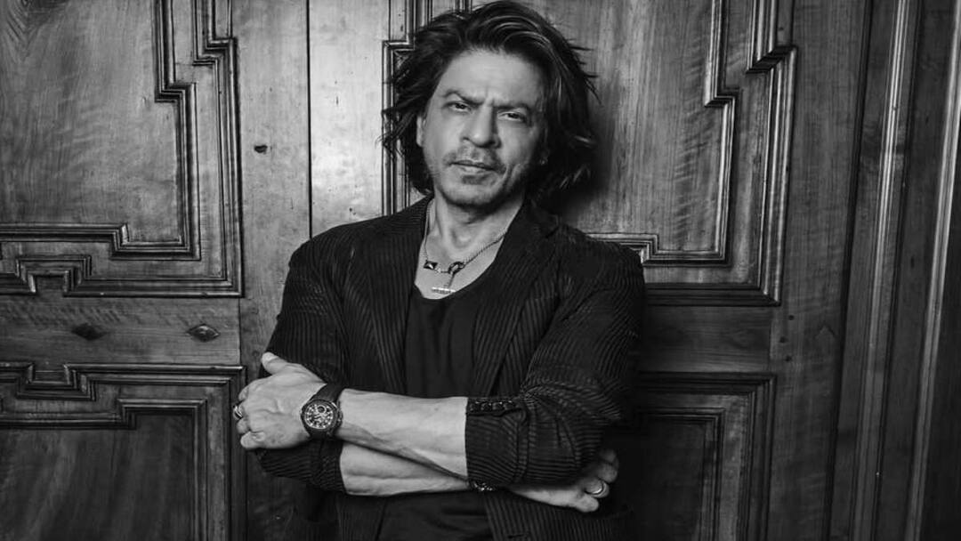 Bollywood Actor shah rukh khan injured while king movie shooting set Shah Rukh Khan: బాలీవుడ్ స్టార్ షారుక్ ఖాన్‌కు గాయం - ఆ వార్తల్లో నిజమెంత?