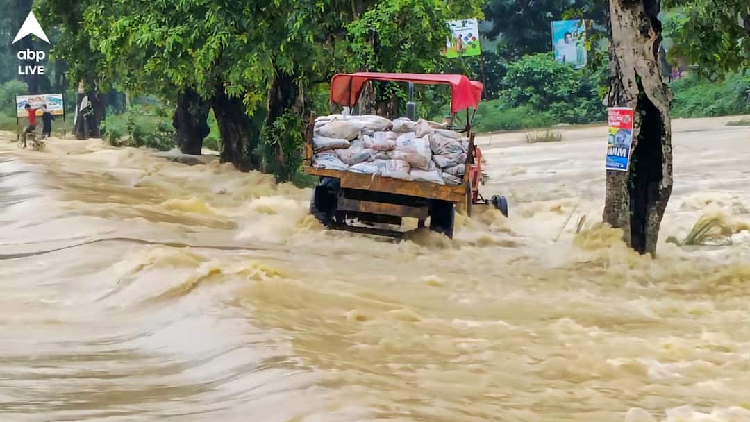 Odisha flood crocodiles swimming in flooded village roads and agricultural fields people in panic Odisha News: বন্যা কবলিত গ্রামের রাস্তায়, জমিতে ঘুরে বেড়াচ্ছে কুমির ! আতঙ্কে ঘুম ছুটেছে সাধারণ মানুষের