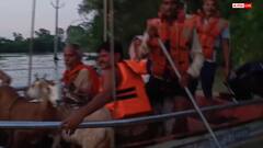 महोबा में 40 साल की सबसे भारी बारिश! शिवहार बांध उफना, खेत में फंसे बुजुर्ग दंपती का रेस्क्यू