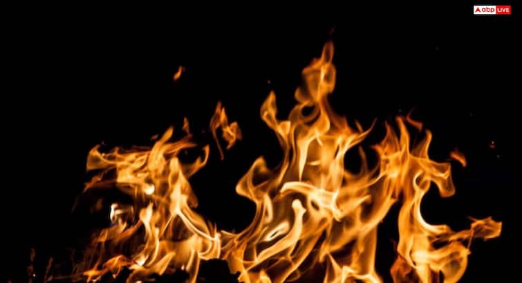 bihar criminals burnt alive two children of Patna AIIMS nurse in house Bihar Two Children Burnt: बिहार में फिर तांडव! पटना AIIMS की नर्स के 2 बच्चों को जिंदा जलाया, अपराधियों ने घर में घुसकर मारा