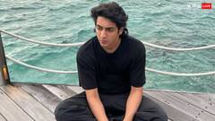 'सैयारा' से पहले अजय देवगन संग एक सुपरहीरो फिल्म करने वाले थे अहान पांडे, फिर क्यों नहीं बन पाई फिल्म?