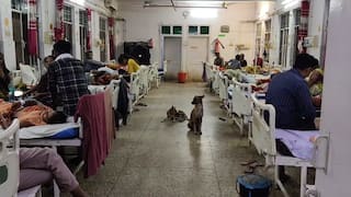 महोबा जिला अस्पताल बना कुत्तों का अड्डा, हॉस्पिटल में खून की थैलियों से खेलते नजर आए डॉग