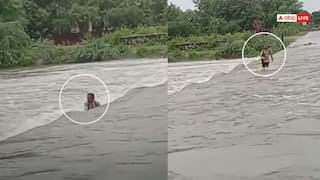 VIDEO: हीरो बन रहा था! खतरे के बावजूद पार कर रहा था पुलिया, तेज बहाव में बहा युवक, फिर नहीं दिखा