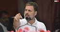 'मोदी जी, 5 जहाजों का सच क्या है?', ट्रंप के दावे पर राहुल गांधी ने दागा सवाल, बीजेपी ने किया पलटवार