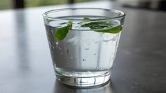 સવારે ખાલી પેટે પીવો આ લીલા પાનનું પાણી,રોગપ્રતિકારક શક્તિમાં આવશે જબરદસ્ત સુધારો, મળશે અનેક ફાયદા