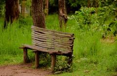 भारत के टॉप 10 मॉनसून वेकेशन डेस्टिनेशन, झरने और पहाड़ की खूबसूरती देखिए