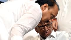 क्या शरद पवार और अजित पवार की NCP का भी होने वाला है विलय? इस बड़े नेता का आया बयान