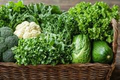 हड्डियों में जान लाने के लिए करें इन चीजों का सेवन, जल्द दौड़ते हुए आएंगे नजर