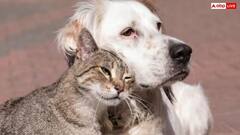 बीमार होने पर जानवर कैसे करते हैं खुद का इलाज, जानकर हैरान रह जाएंगे आप