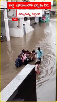 Car Showroom Employees in Rain Water