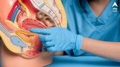 লিভার ক্ষতিগ্রস্ত হওয়ার আগে এই লক্ষণগুলি দেখা যায়, শরীরে এই পরিবর্তন দেখলেই ডাক্তারের কাছে ছুটুন