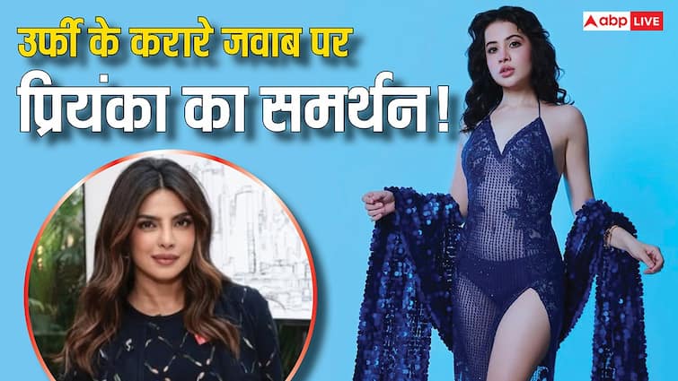 'आपके बाप का कुछ जा रहा है क्या', उर्फी के इस जवाब को सपोर्ट करते दिखीं प्रियंका चोपड़ा