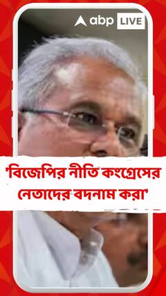 'বিজেপির নীতি কংগ্রেসের নেতাদের বদনাম করা', ছেলের গ্রেফতারি প্রসঙ্গে মন্তব্য ভূপেশ বাঘেলের