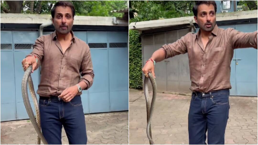 Sonu Sood Catches Snake With Bare Hands In His Society viral video Sonu Sood Catches Snake With Bare Hands In His Society, Warns Fans Not To Imitate – Watch