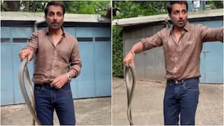 Sonu Sood Catches Snake With Bare Hands In His Society, Warns Fans Not To Imitate – Watch