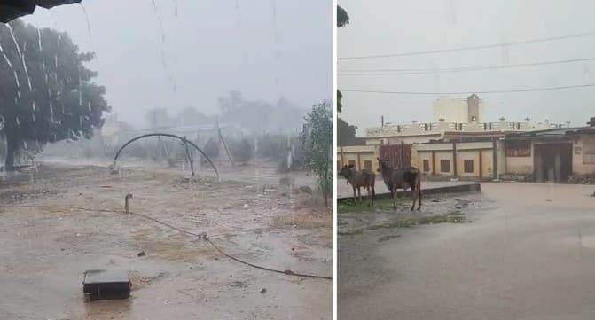 Kutch Rain: કચ્છમાં મેઘરાજાની ધમાકેદાર બેટિંગ, ભચાઉ, અંજાર, રાપરમાં ધોધમાર વરસાદ Rain in Anjar Bhachau and Rapar of Kutch Kutch Rain: કચ્છમાં મેઘરાજાની ધમાકેદાર બેટિંગ, ભચાઉ, અંજાર, રાપરમાં ધોધમાર વરસાદ