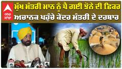 ਮੁੱਖ ਮੰਤਰੀ ਮਾਨ ਨੂੰ ਪੈ ਗਈ ਝੋਨੇ ਦੀ ਫ਼ਿਕਰ, ਅਚਾਨਕ ਪਹੁੰਚੇ ਕੇਂਦਰ ਮੰਤਰੀ ਦੇ ਦਰਬਾਰ|