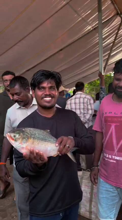 Pulasa Fish Record Price: రికార్డ్ ధర పలికిన పులస చేప, ఈ సీజన్లో ఇదే అత్యధికం