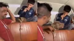 Caught On Cam: Mumbai Man Laughs As Pit Bull Mauls 11-Year-Old Boy Inside Auto Rickshaw; Booked