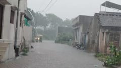Rajkot Rain: રાજકોટ શહેર અને લોધીકા ગ્રામ્યમાં ભારે પવન સાથે ધોધમાર વરસાદ 