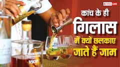 कांच के ही गिलास में क्यों सर्व की जाती है शराब, प्लास्टिक या स्टील क्यों नहीं? जानिए इसका साइंस