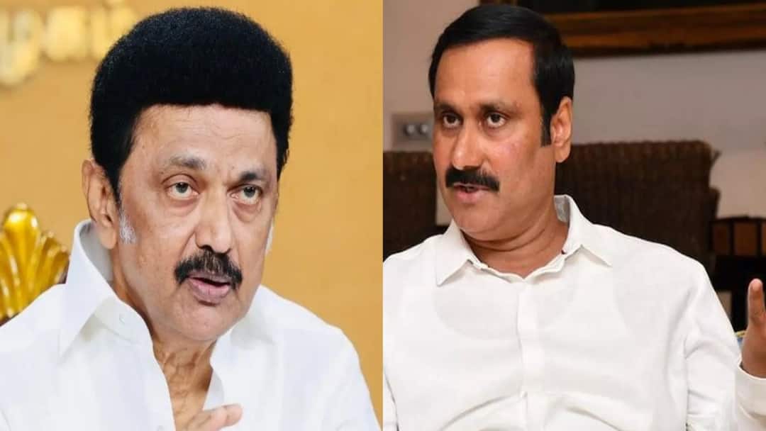 Anbumani: வன்னியர் எதிரி ஸ்டாலின்.. ஒரு ஓட்டுக்கூட திமுகவிற்கு விழக்கூடாது - அன்புமணி ராமதாஸ் ஆக்ரோஷம்