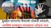 Mumbai Crime News: दुबईत चांगल्या पैशांची नोकरी लावतो; आमिष दाखवून जाळ्यात ओढलं अन् केला वारंवार अत्याचार, घटनेनं मुंबई हादरली