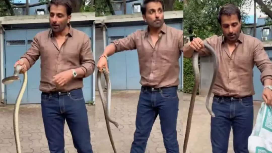 வீட்டுக்குள் நுழைந்த பாம்பு.. மக்களை எச்சரித்த நடிகர் சோனு சூட்.. நடந்தது என்ன?