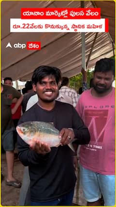 పిచ్చెక్కించిన పులసరేటు