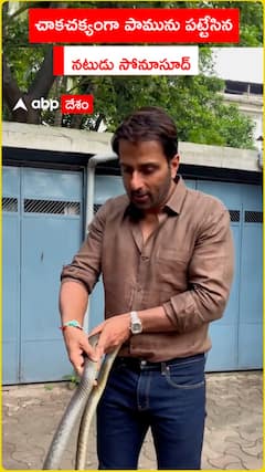 చాకచక్యంగా పామును పట్టేసిన సోనూసూద్