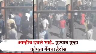 आम्हीच इथले भाई, पुण्यात पुन्हा कोयता घेऊन तरुणांचा हैदोस, 10 ते 12 वाहनांची तोडफोड , व्हिडीओ व्हायरल