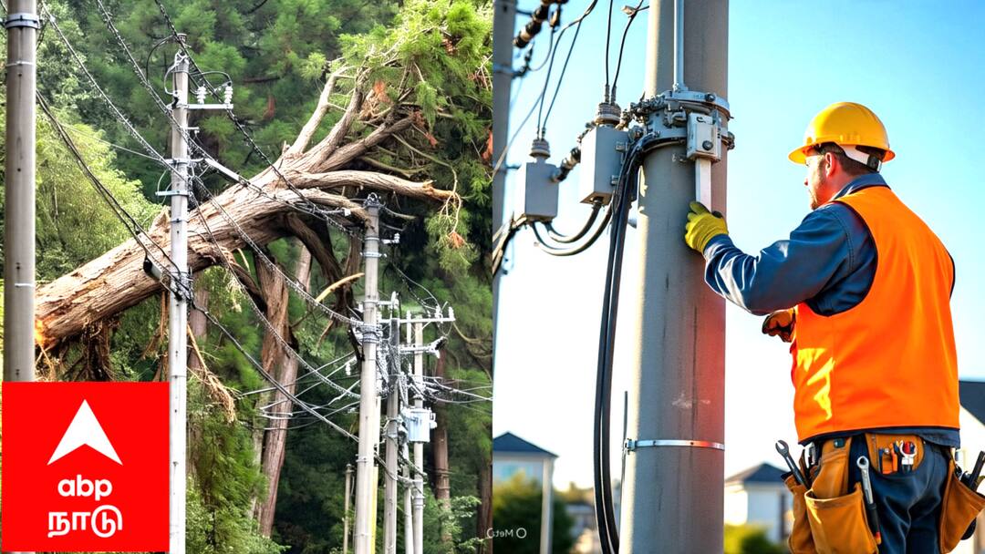 Mayiladuthurai Power Shutdown Tomorrow 22.07.2025 Power Outage Areas Affected -TNN Power shutdown: மயிலாடுதுறை: நாளை மின் தடை! உங்க ஏரியா இருக்கா? அவசர அறிவிப்பு, தெரிஞ்சிக்கோங்க!