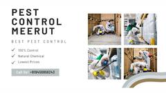 Pest Control Meerut (मेरठ में पेस्ट कंट्रोल सेवा): अब कीटों से मिलेगी पूरी राहत