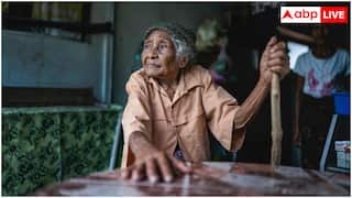 Senior Dietary Habits: बुढ़ापे में रहना है हेल्दी तो ये हैं जरूरी विटामिन्स और मिनरल्स, जानें क्या होते हैं फायदे