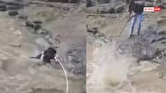 Video: नदी से चप्पल निकाल रहा था युवक, पैर फिसलने से डूबा, हुई मौत, देखिए घटना का लाइव वीडियो
