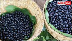 गलती से भी बेकार मत समझ लेना जामुन के बीज, इन बीमारियों के लिए हैं रामबाण इलाज